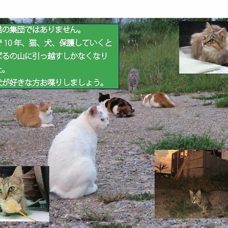 Okinawa Freedom Villa Nakijin Dış mekan fotoğraf