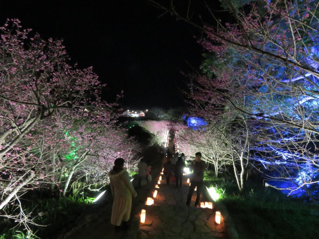Okinawa Freedom Villa Nakijin Dış mekan fotoğraf