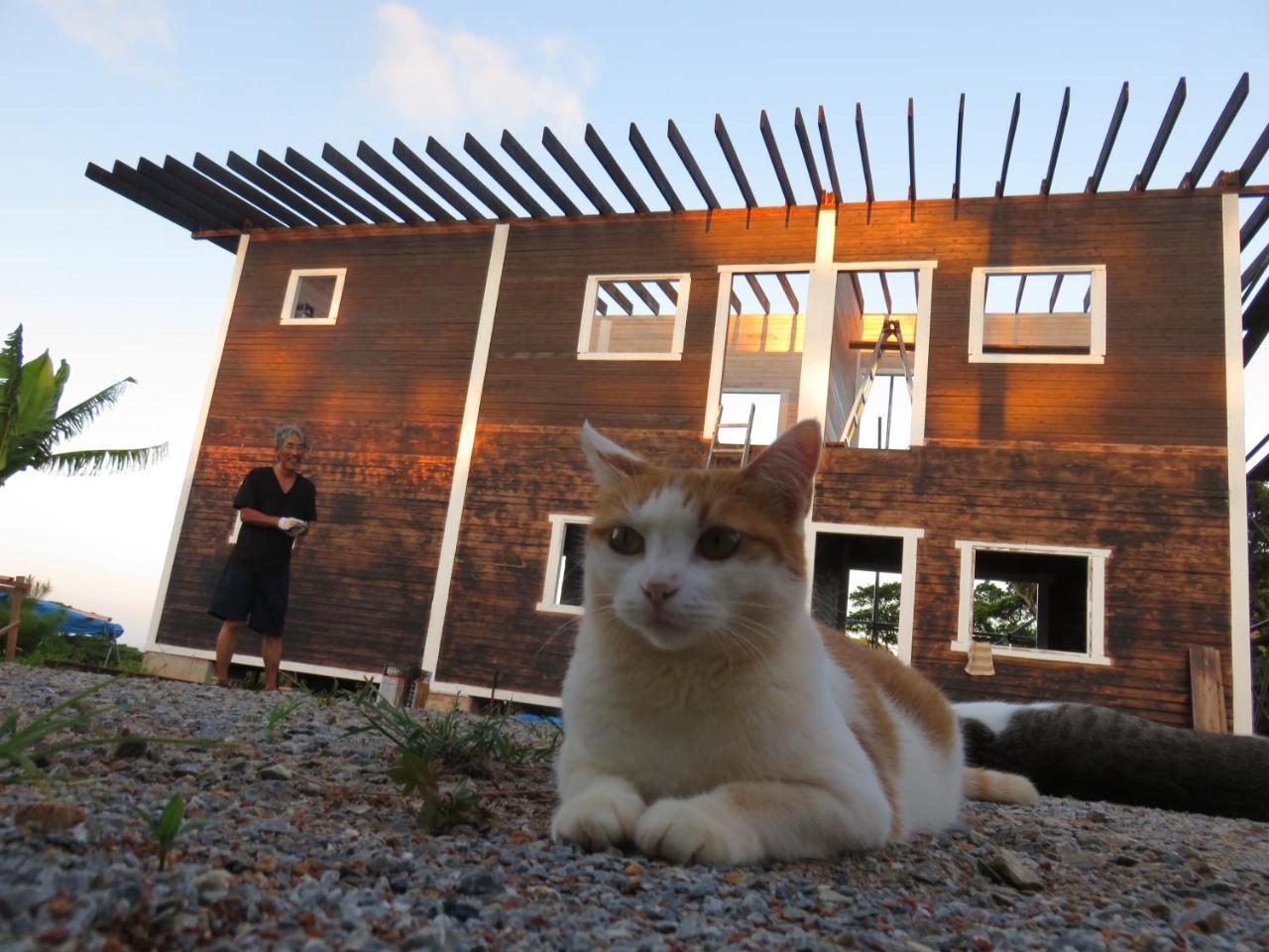 Okinawa Freedom Villa Nakijin Dış mekan fotoğraf