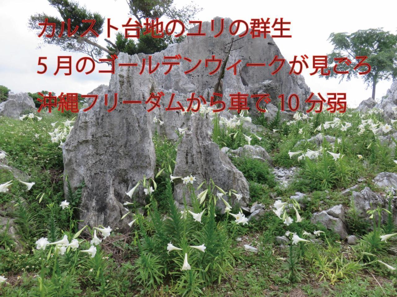 Okinawa Freedom Villa Nakijin Dış mekan fotoğraf