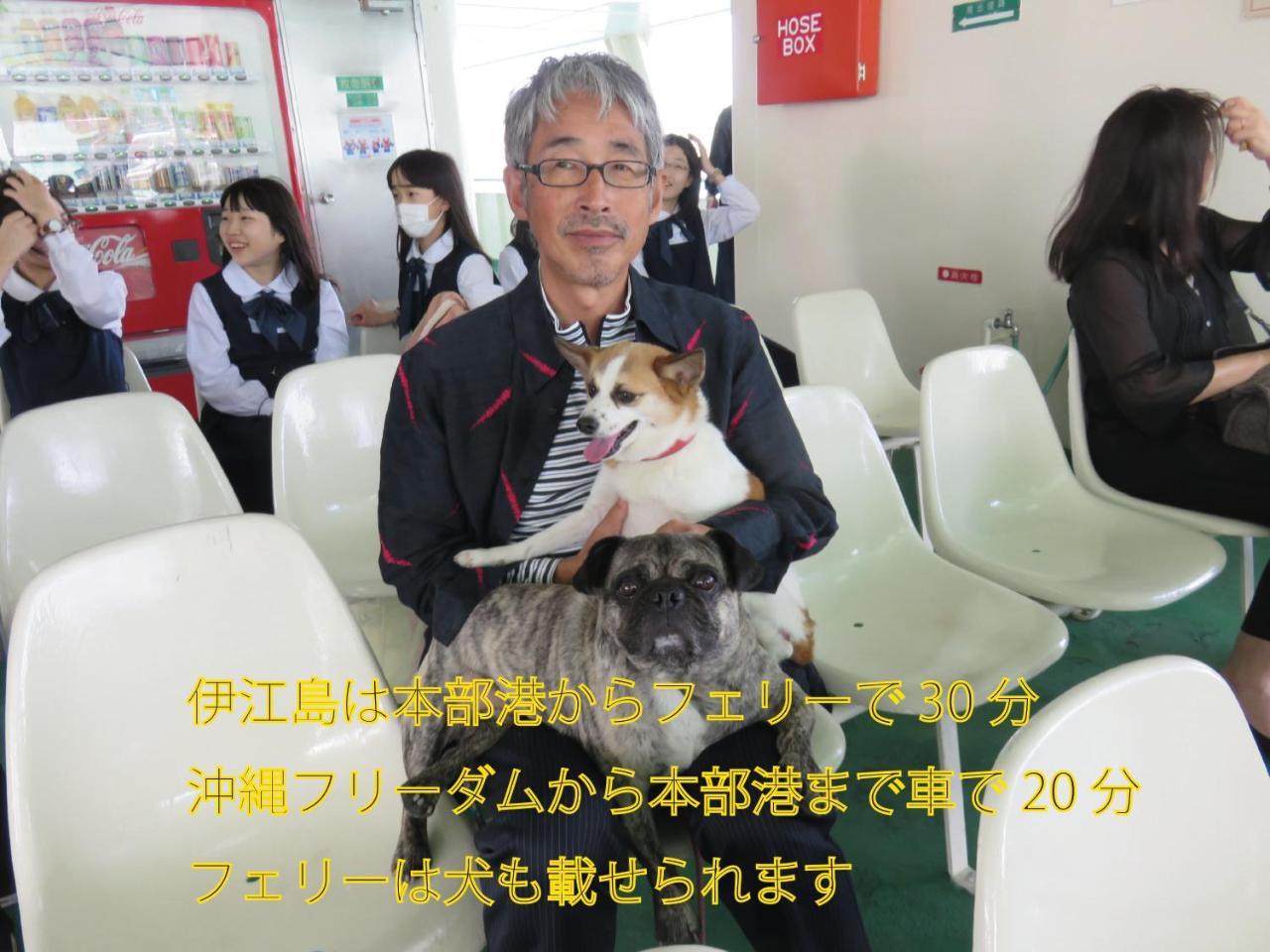 Okinawa Freedom Villa Nakijin Dış mekan fotoğraf